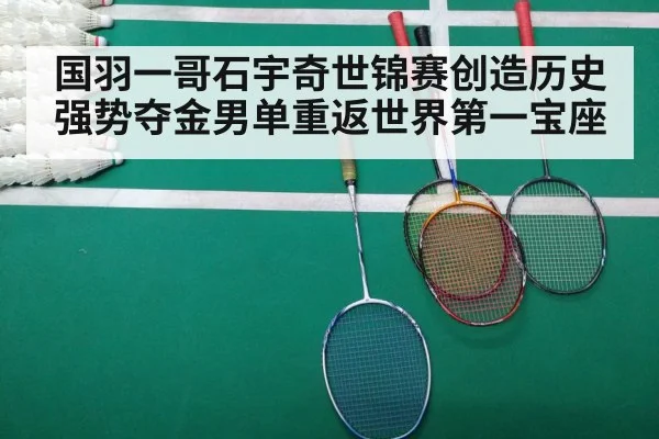 badminton match final